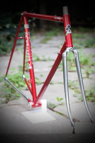 Cornice colnago esa - cornice,